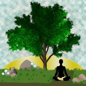 Comment débuter la méditation