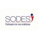 Logo sodesi